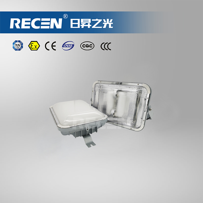 LED長(zhǎng)壽頂燈/無(wú)極長(zhǎng)壽頂燈 RGFL615