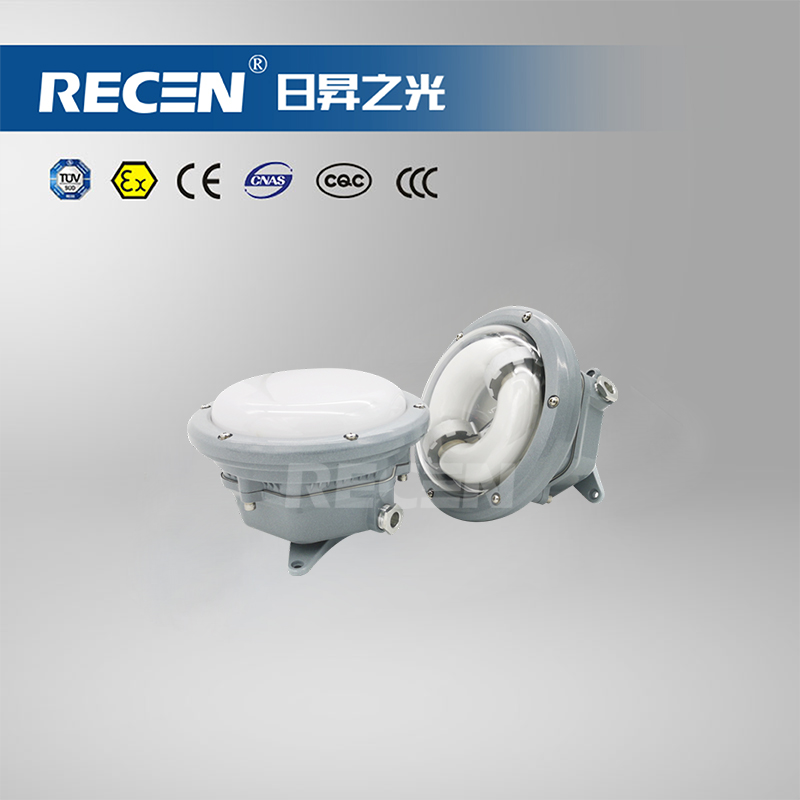 LED長(zhǎng)壽頂燈/無(wú)極長(zhǎng)壽頂燈 RGFL616